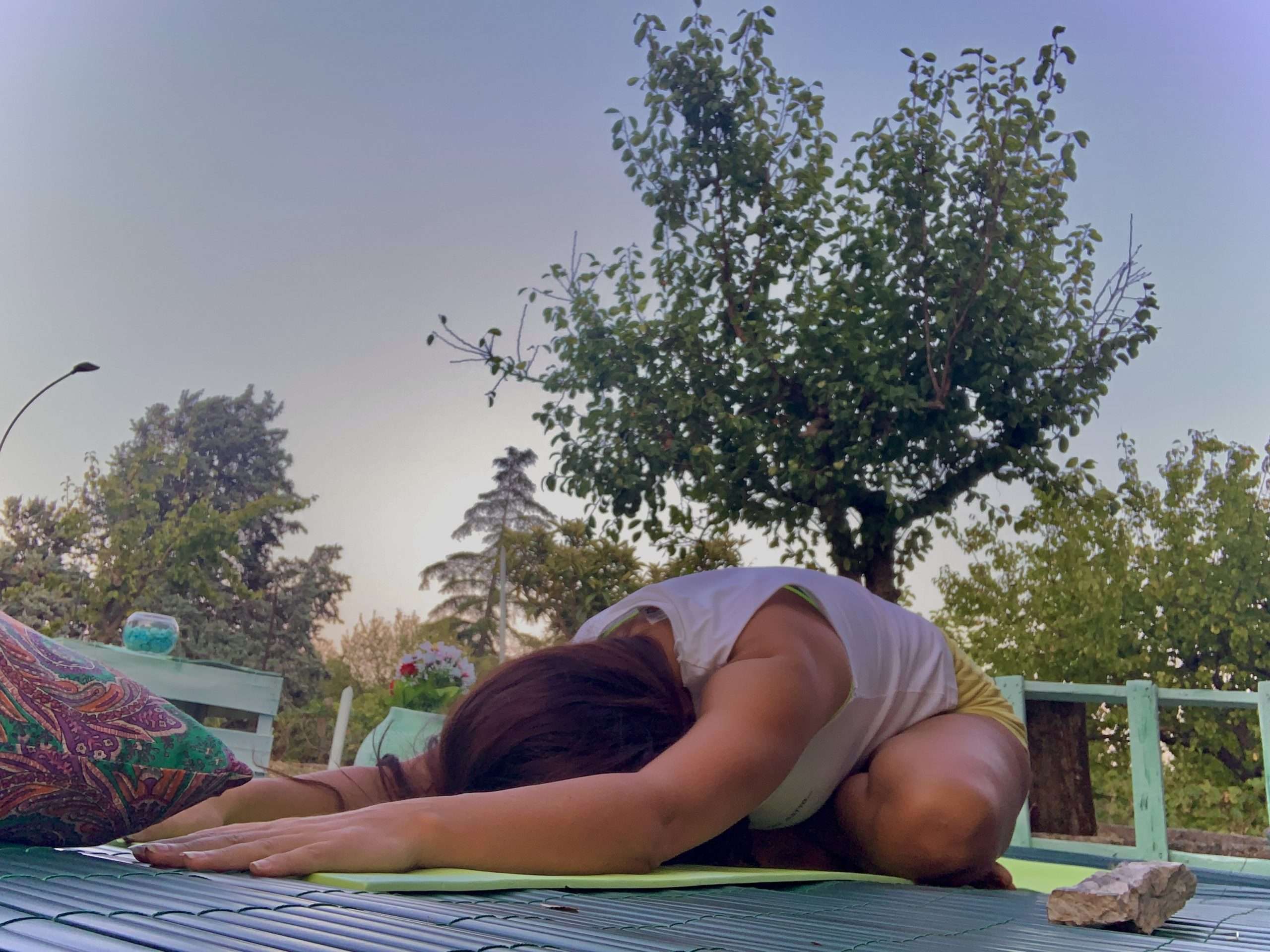 Yoga e Abbraccio degli Alberi nel Pollino