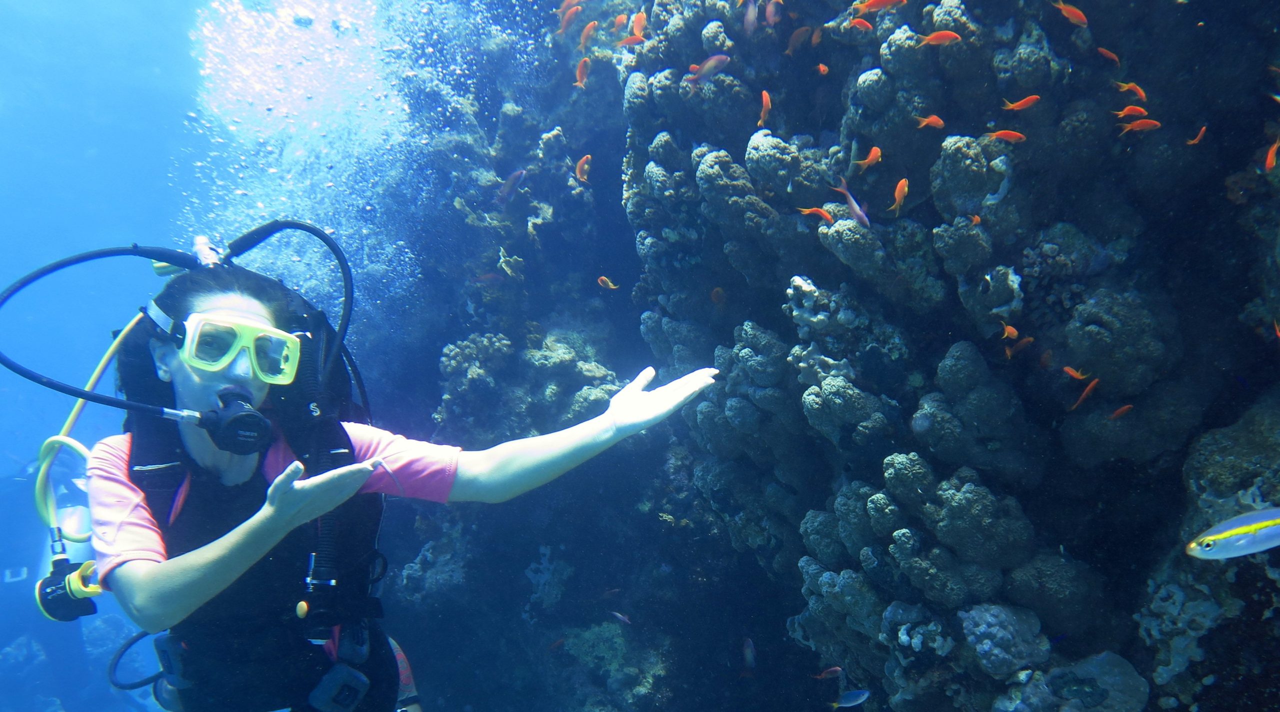 Fare Scuba Diving a Sharm El Sheikh